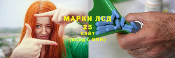 ПСИЛОЦИБИНОВЫЕ ГРИБЫ Беломорск